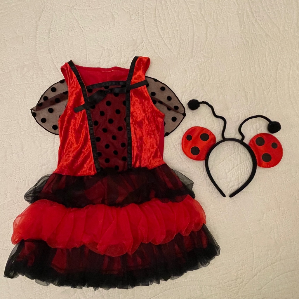 Lady Bug Costume With Wings  Head Piece